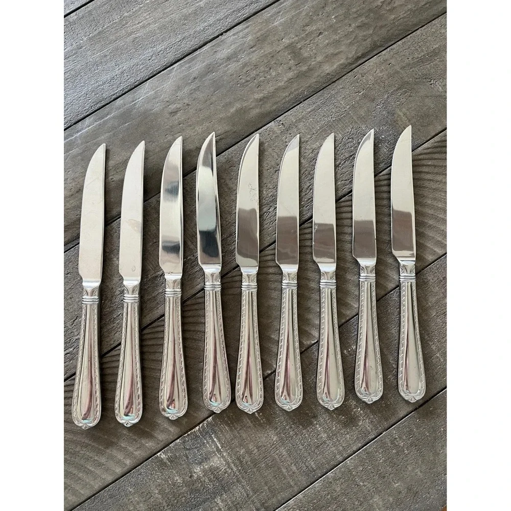 Hampton Silversmiths Stainless Steel Steak Knives Set of 9 Serrated Blade Silver